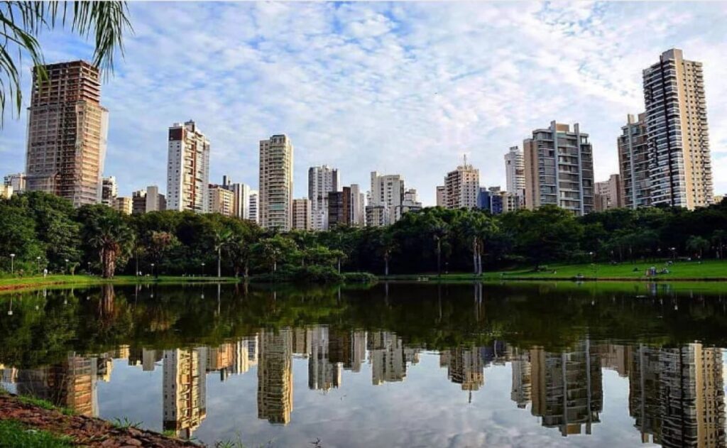 especialista em SEO goiania