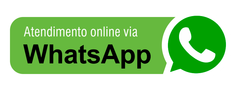 consultor SEO online, especialista em SEO whatsapp